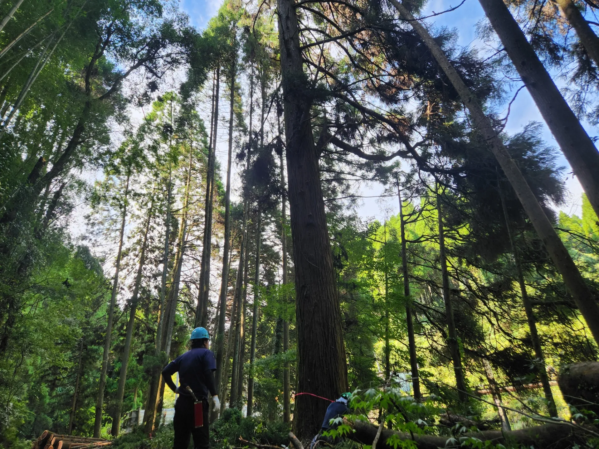 土木作業の求人を熊本県阿蘇郡南小国町で探す際のポイントと安定就労のコツ